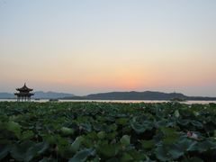 -西湖游船