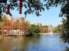 -荔湾湖公园