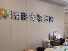-瑞鹏宠物医院·骨科·猫科·内科(第一中心)