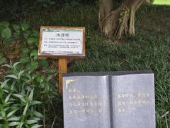 -南宁南湖公园