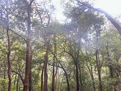 -灵顺寺