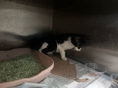 -天津前进宠物医院(前进道店)