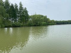 -苏州太湖国家湿地公园