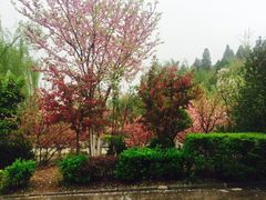 -齐汇维景大酒店游泳馆(山东政协大厦齐汇维景)