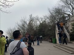 -紫金山山顶公园