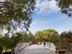 -大兴滨河森林公园