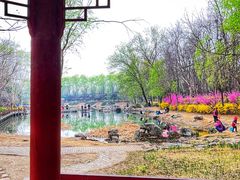 -云岗森林公园