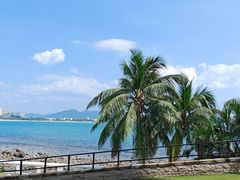 -雾山韩式烤肉·海南糟粕&椰子鸡火锅·海景餐厅(三亚绿发山海天JW万豪酒店)