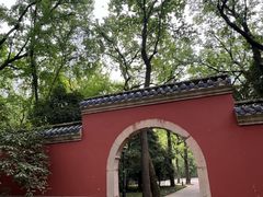 -灵谷景区