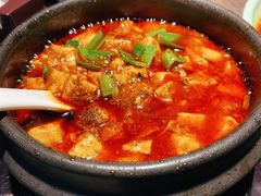 -陈麻婆豆腐总店