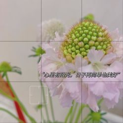 -尊尚柏丽美容SPA