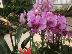 -东园小馆·早茶·淮扬小炒(印象汇店)