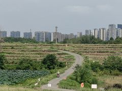 -三圣花乡旅游区