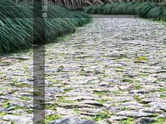 -沧浪亭