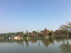 -海珠湖公园