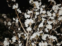 -首都师范大学(良乡校区)