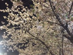 -艾蜜西餐厅(梅园店)