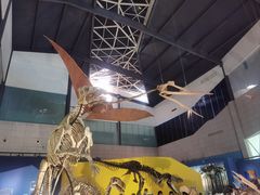 -湖南省地质博物馆