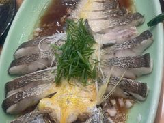 -海派美食·家宴海鲜青岛菜·石锅鲽鱼头(东方城店)