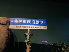 -重庆欢乐海底世界
