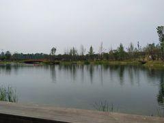 -白鹭湾湿地公园