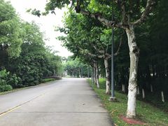 -太阳岛度假酒店