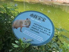 -珠海长隆海洋王国