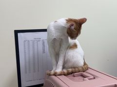 -天宠宠物医院24小时·急重症诊疗中心·全科·腔镜特色(和平分院)