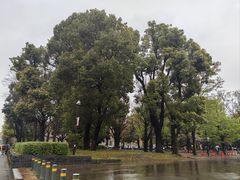 -东京国立博物馆