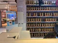 -奔马滚轴溜冰场