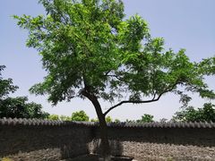 -南京市江宁方山