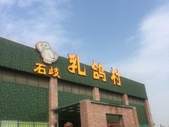 -石岐乳鸽村(南海第三分店)