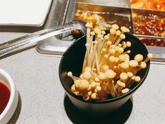 -海底捞火锅(青悦城店)