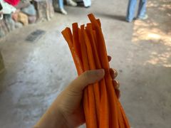 -长鹿旅游休博园