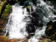 -五女峰国家森林公园