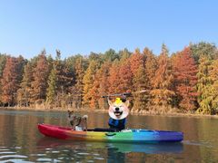 -上海海湾国家森林公园