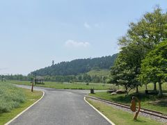 -径山花海