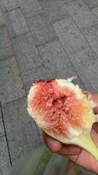 -青木造型HAIR·あおき髪を刈る潮人店