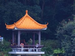 -深圳市中科院仙湖植物园