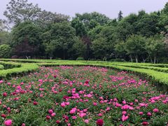 -洛阳市隋唐城遗址植物园