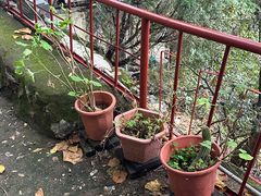 -丽江束河古镇-石莲古寺