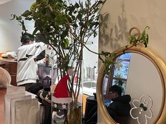 -有猫主题·治愈系猫咖(曾厝垵店)