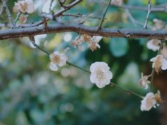 -草庵摩尼教遗址公园