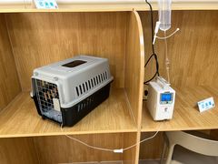 -美联众合动物医院·24h京西诊疗中心