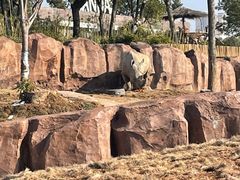 -武汉动物园