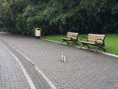 android_upload_pic-苏州河梦清园环保主题公园