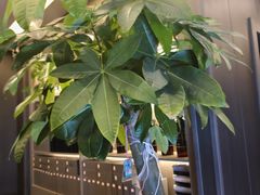-鹿栖.精油SPA(金山世纪城店)