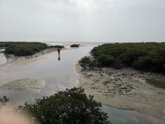 -北海金海湾红树林生态旅游区