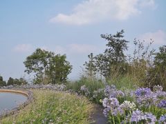 -金堂县云顶石城风景区