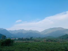 -午潮山国家森林公园